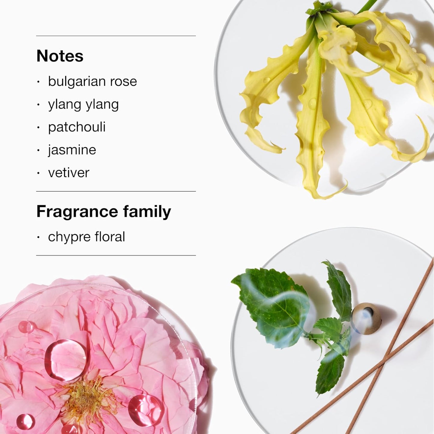 Clinique Aromatics Elixir Eau de Parfum – Enigmatic & Captivating Scent