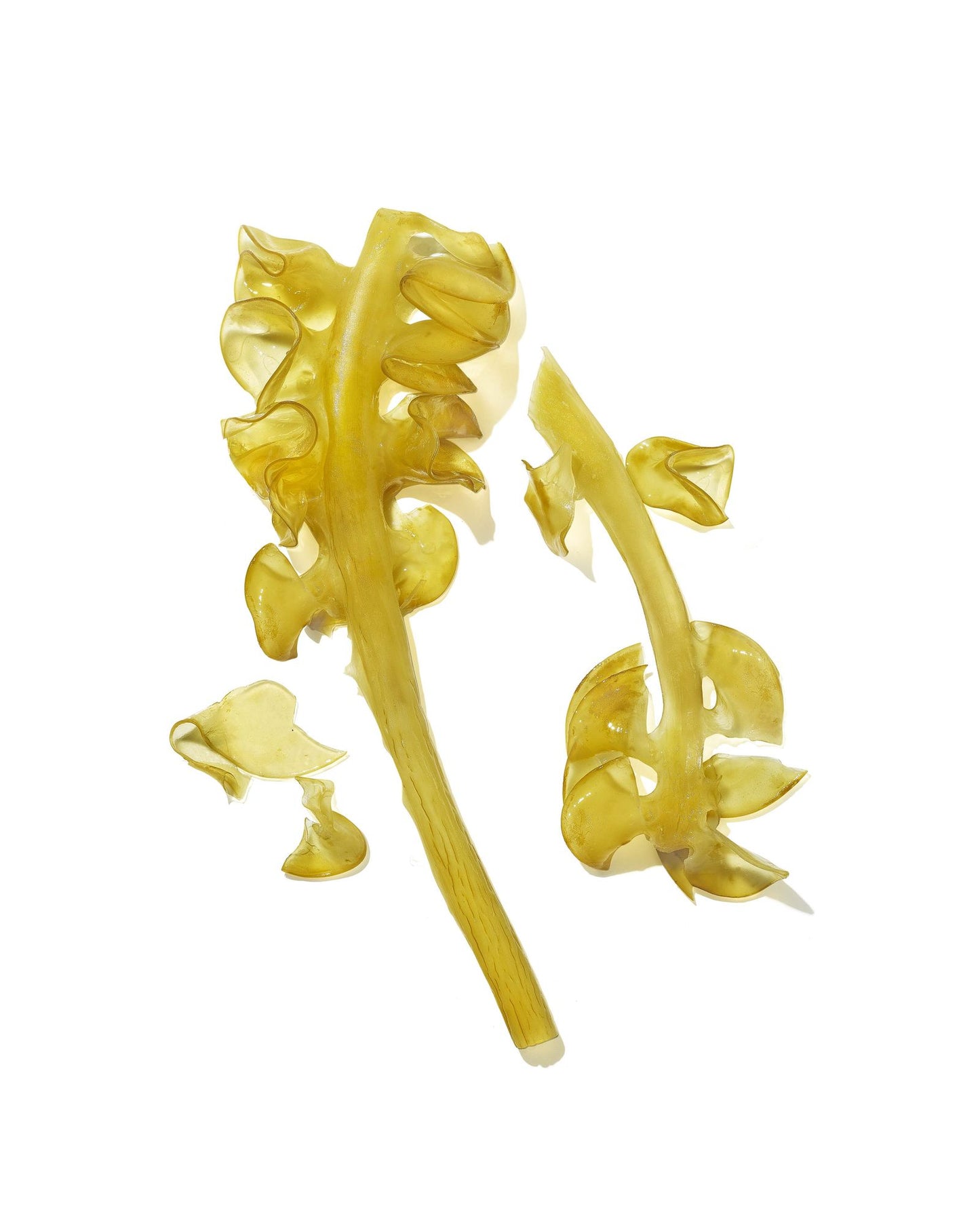 Masami Mekabu Hydrating Conditioner seaweed