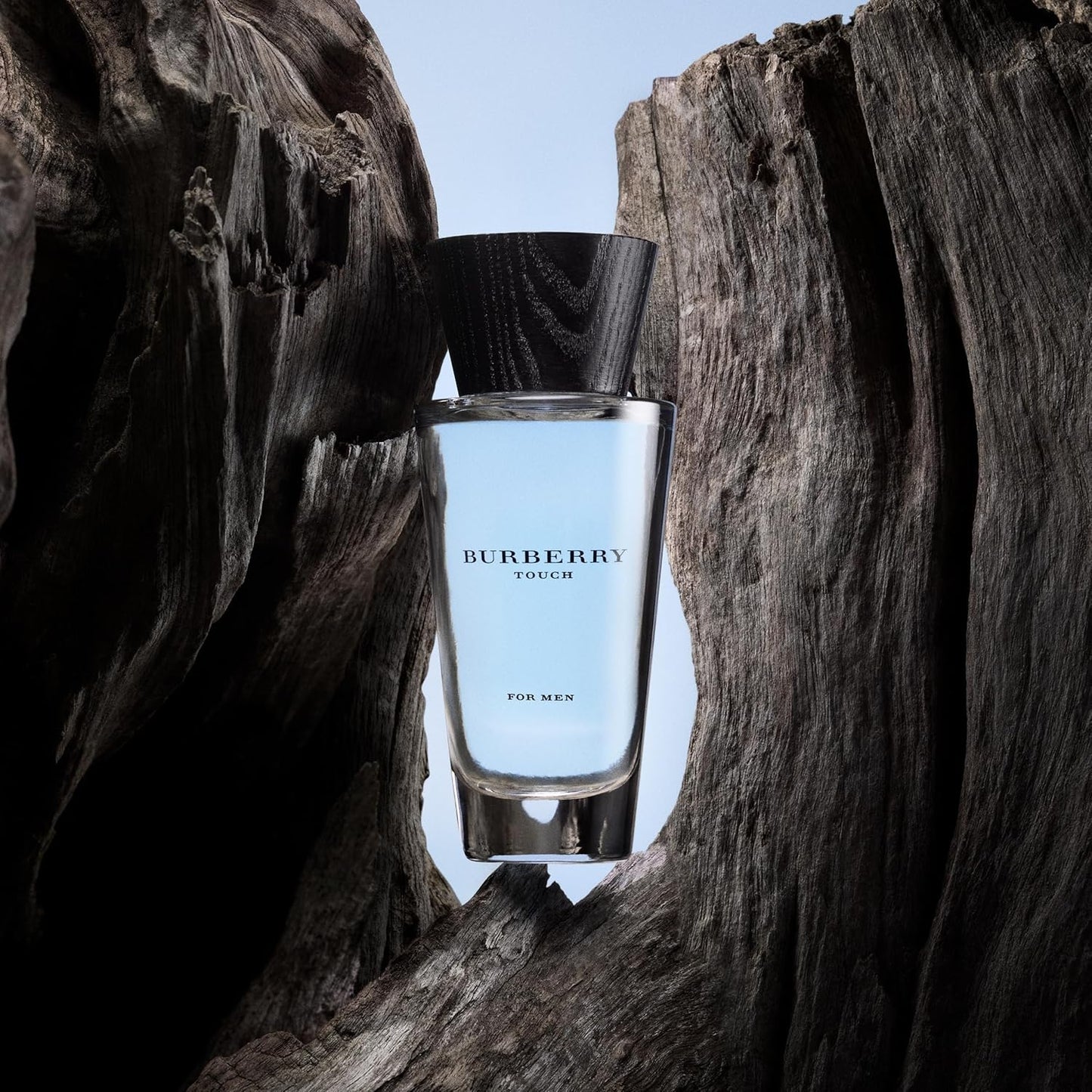 Embrace Alluring Elegance: Burberry Touch for Men